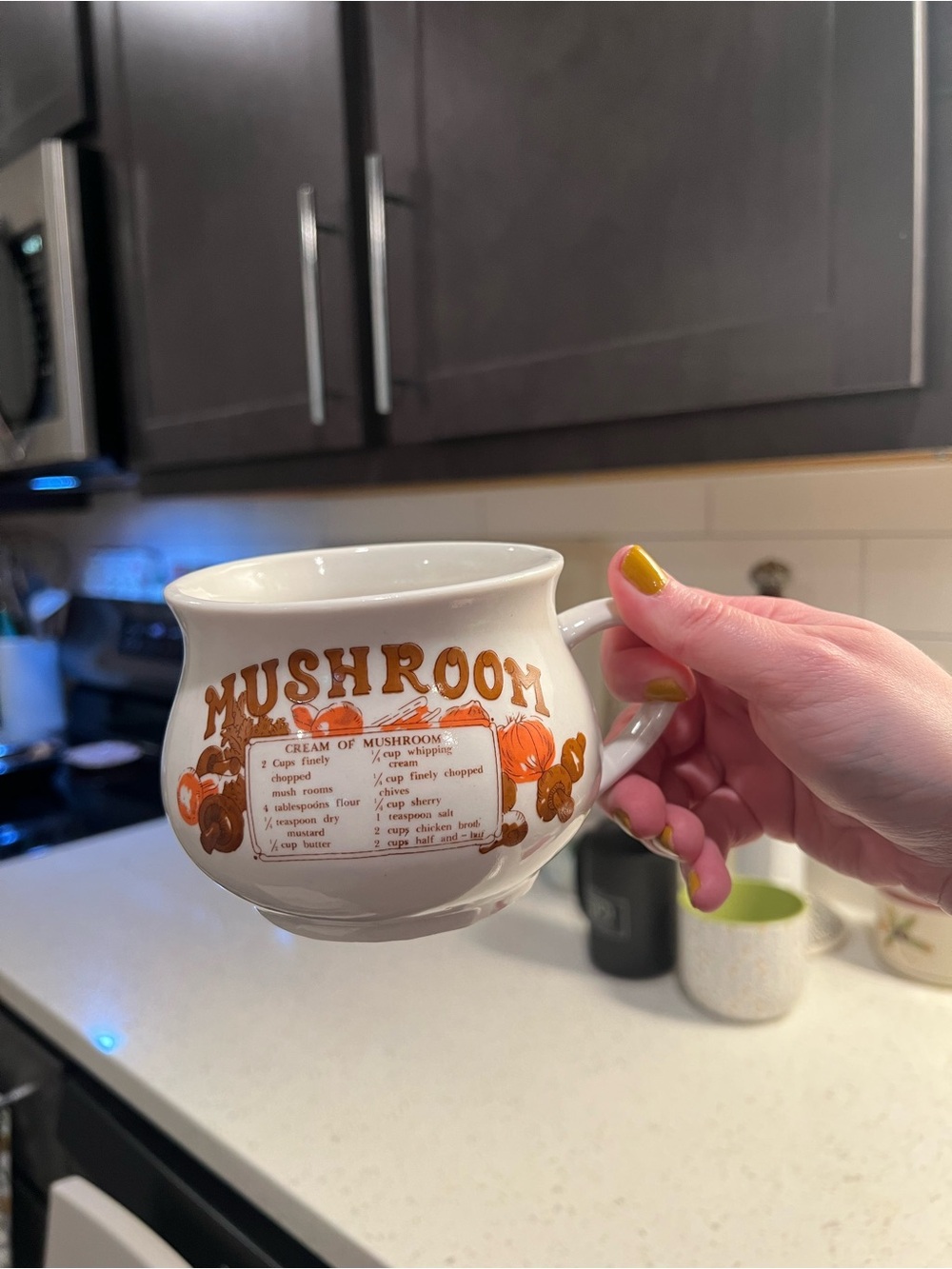 Mushroom soup cup